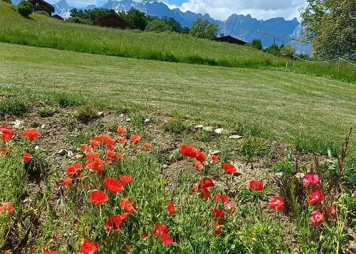 Lägenhet Les Aravis *