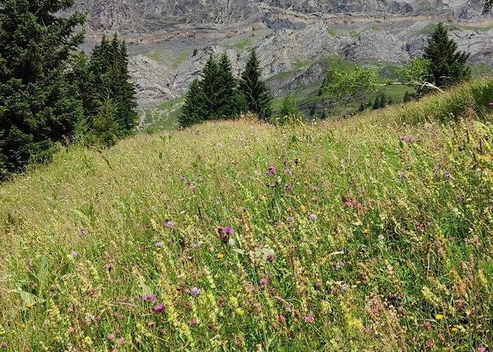 Les Aravis Passy (Haute-Savoie)