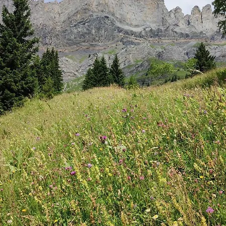 Les Aravis Passy (Haute-Savoie)
